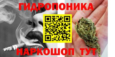 дживик Нальчик