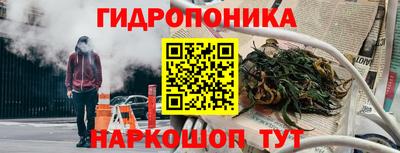 дживик Нальчик