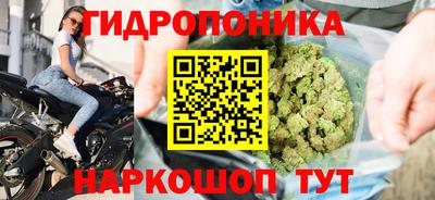 дживик Нальчик