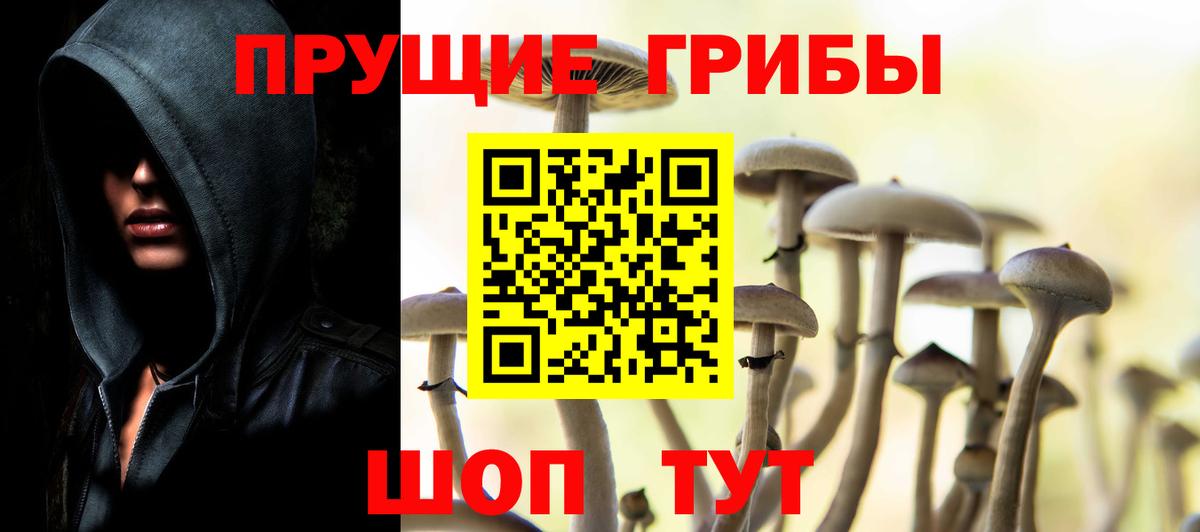 Псилоцибиновые грибы мицелий Владивосток