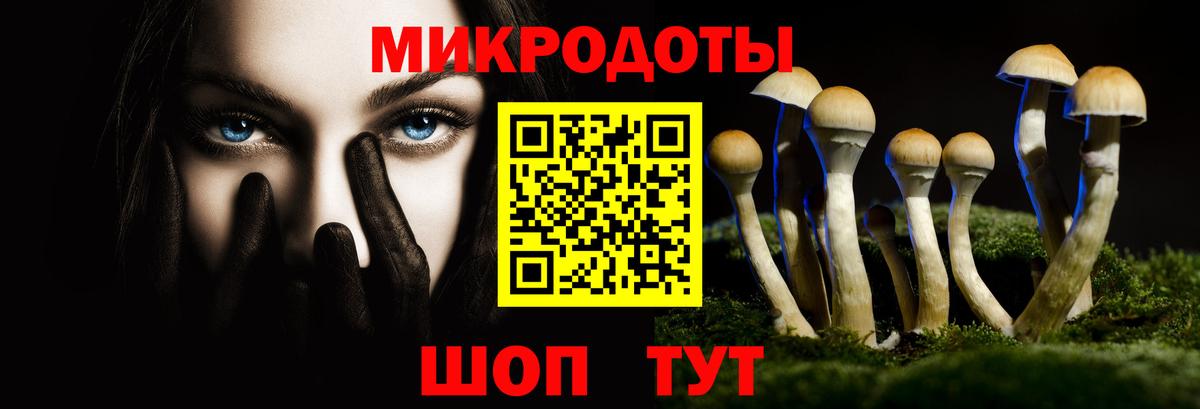Владивосток  Галлюциногенные грибы Psilocybe  Галлюциногенные грибы Psilocybe  Вход с VPN 